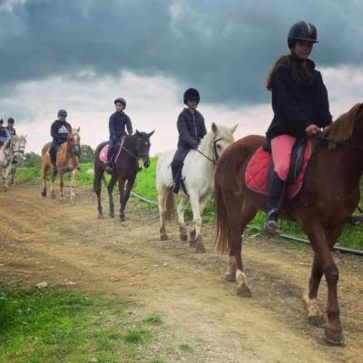 Sunset Horseback Riding - Wine event at the lush green Lythrodontas - 27 April 