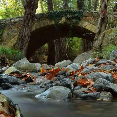 Hiking on the Tall Tree trail – Pouziaris - October 12