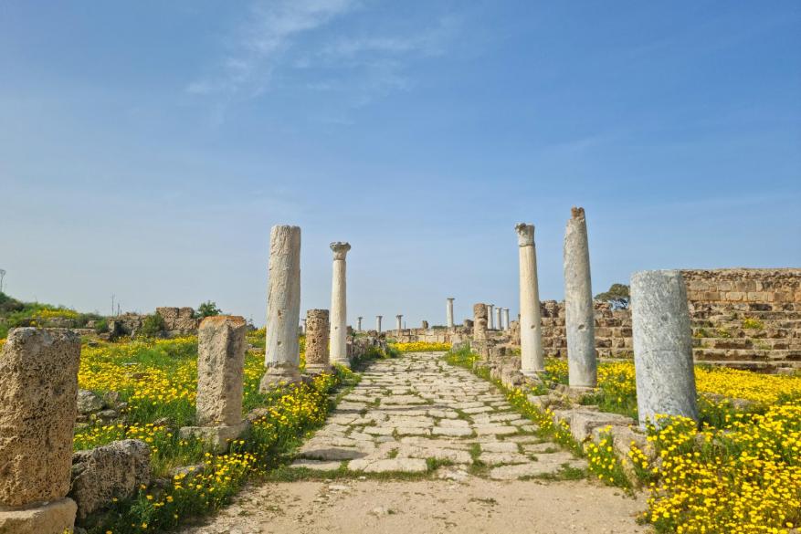 Excursion to the ancient city of Salamis