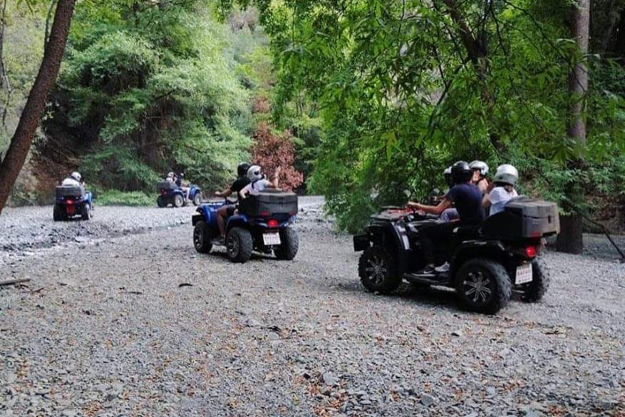 Σαφάρι με γουρούνες γυμναστική και πεζοπορία στον Καλοπαναγιώτη