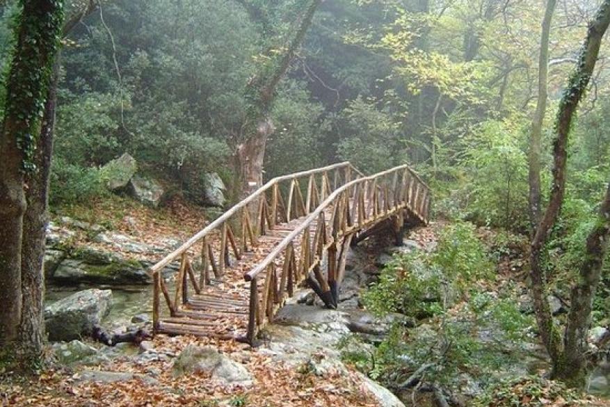 Πεζοπορία στο μονοπάτι της Μεσορόπης (Παγγαίο)
