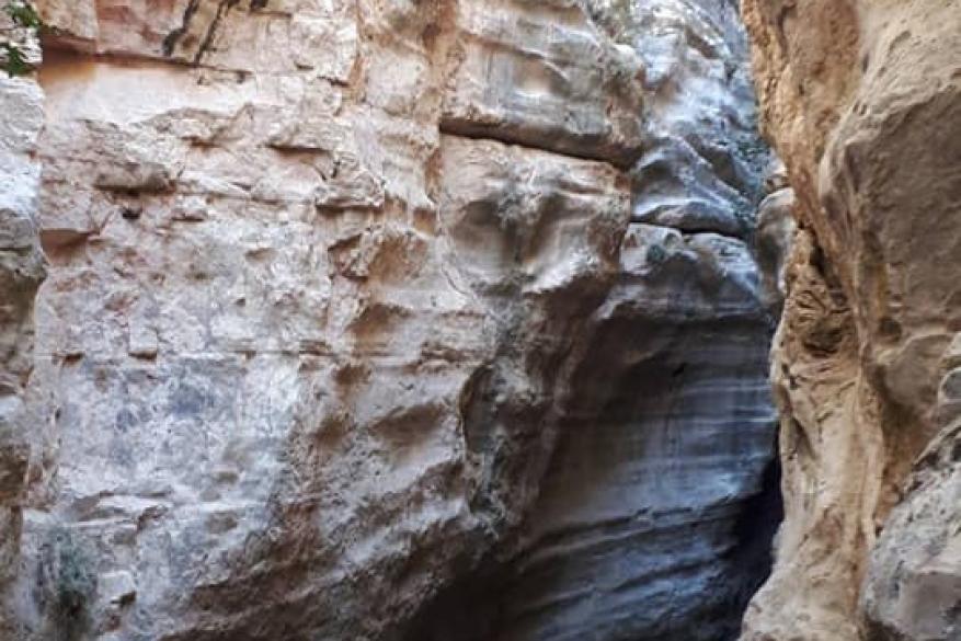 Εκδρομή και πεζοπορία στο Φαράγγι του Άβακα