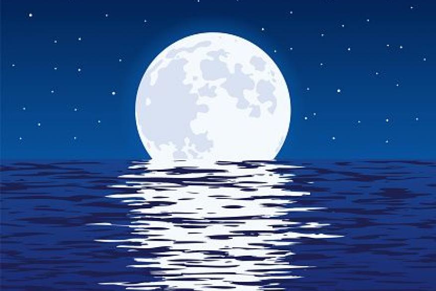 Full Moon Sea Kayaking in Governor's Coast - 19 September