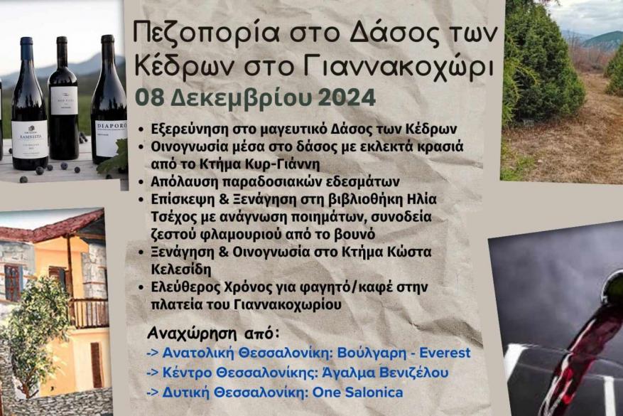 Hiking in the Cedar Forest in Giannakochori - Visit to a Winery