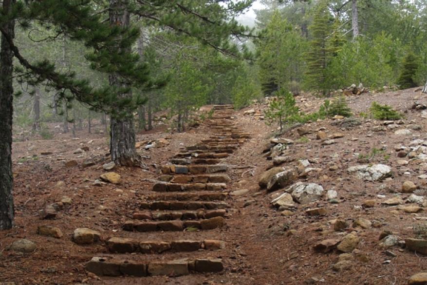 Hiking on the Persephone trail in Troodos