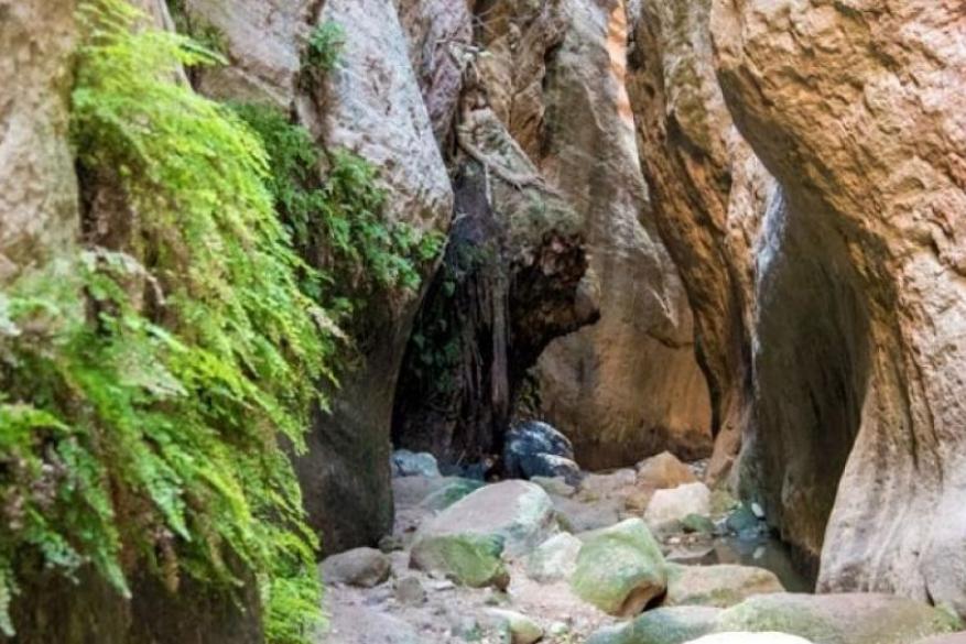Πεζοπορία στο Φαράγγι του Άβακα
