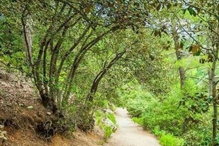 Πεζοπορία στο μονοπάτι Μούττη της χώρας - Σελλάδι του Καραμανλή 