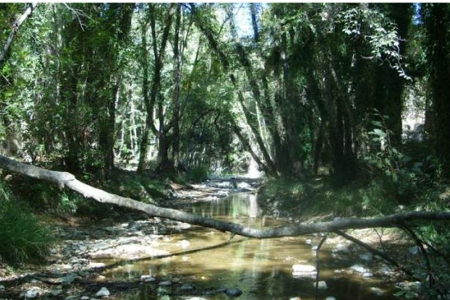 Hike on the path Kykkou - Panagias 23km