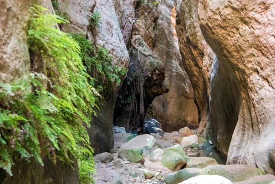 Excursion and hike in the Avaka Gorge - 12 April