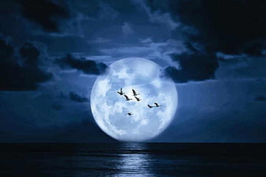 Full Moon Sea Kayaking στον Πρωταρά - 12 Αυγούστου