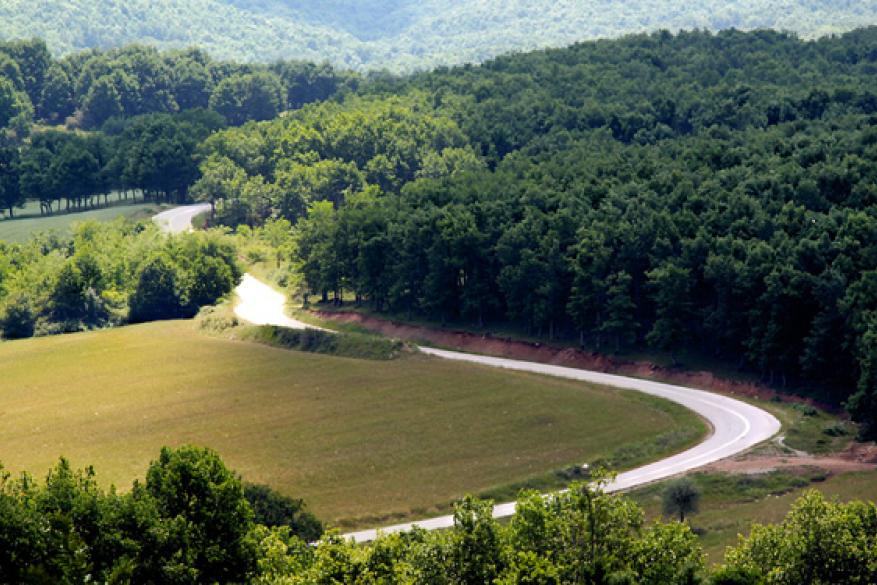 Hiking in Holomontas (Taxiarchi – Arnaias) 
