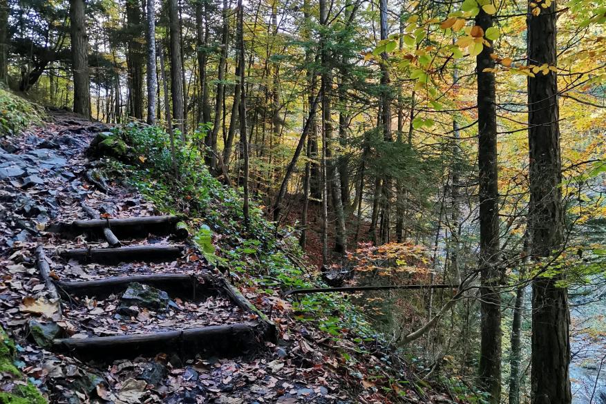 Gortia trail - Petrostruga shelter in the magical Olympus
