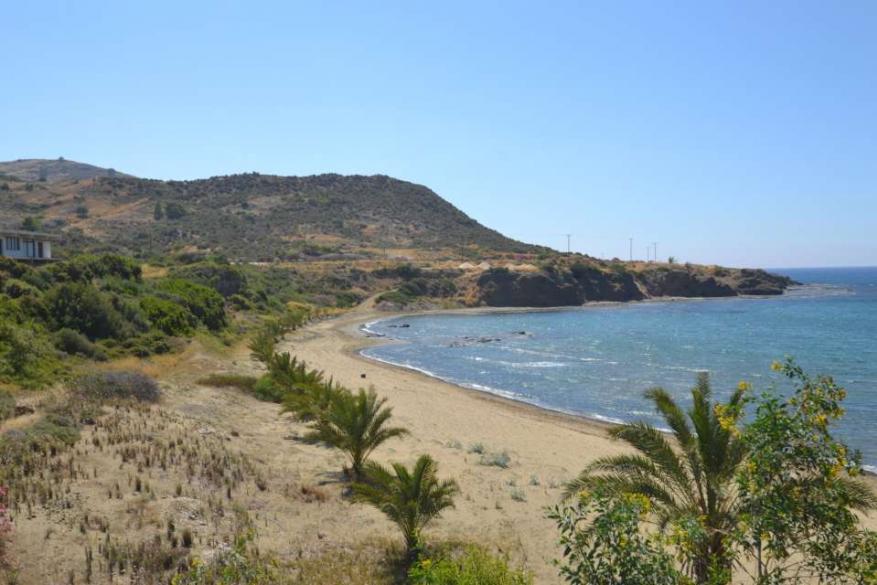 One-day excursion to Lower Pyrgos of Tillyria - Pachyammos - Pomos - 2 February