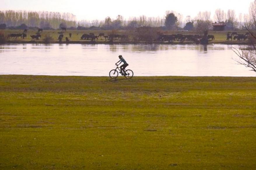 Cycling on Lake Kerkini, Farm visit and Wine tourism