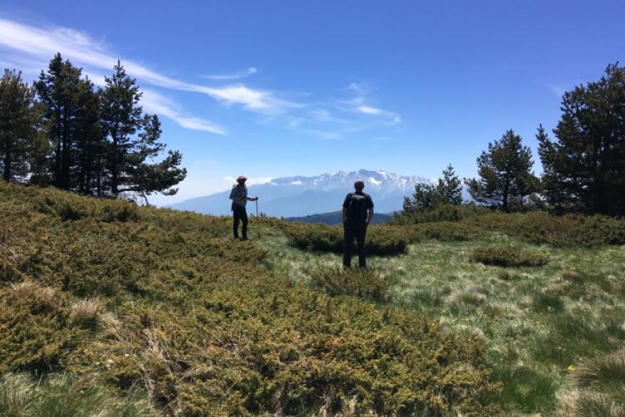 Ascent to Arvanitis peak 2023m. in Pieria Mountains
