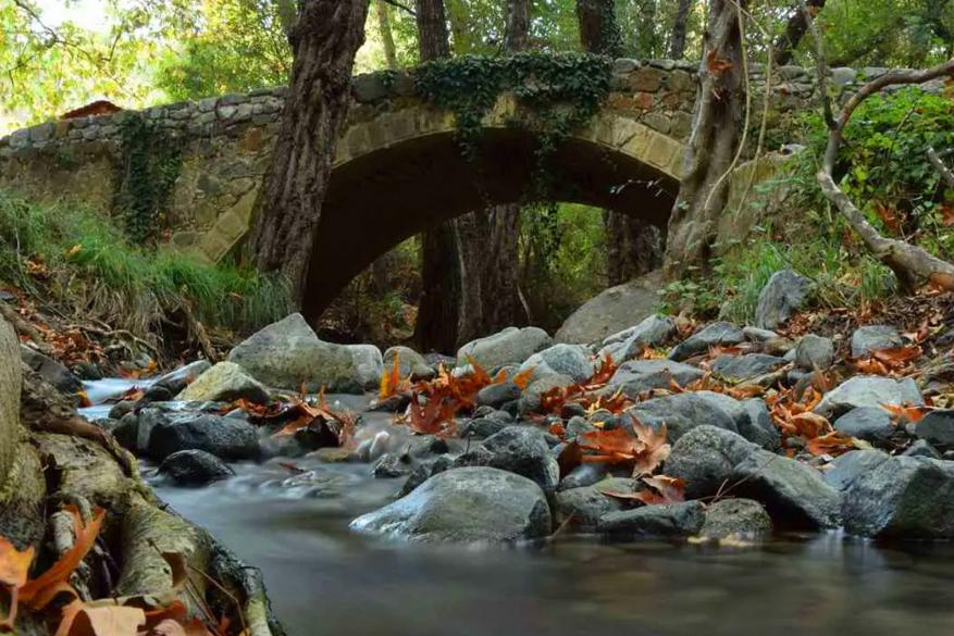 Hiking on the Tall Tree trail – Pouziaris - October 12