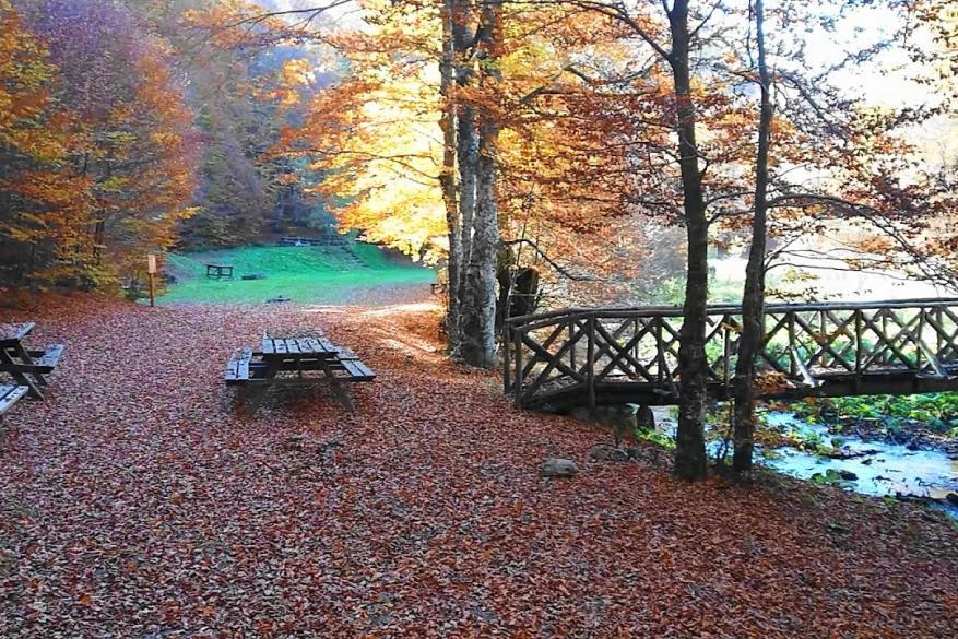 Hiking in Stravopotamos Gorge (Paiko)