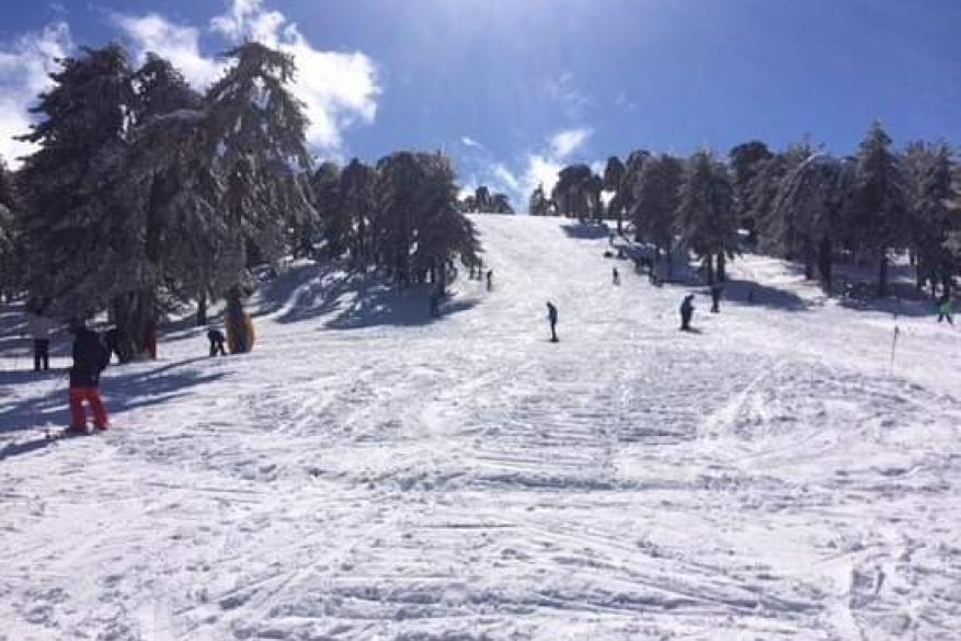 Skiing in Troodos - 12 January