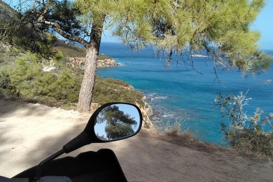 Σαφάρι με γουρούνες στον ολοπράσινο Ακάμα