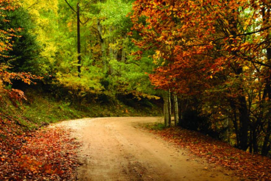 Hike on the Pagopoion path and climb to the top of Kolourti