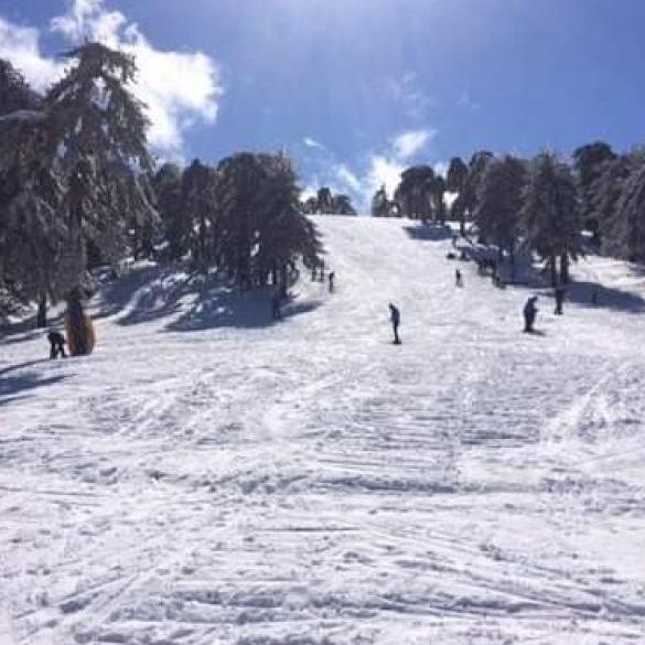 Skiing in Troodos Skiing in Troodos
