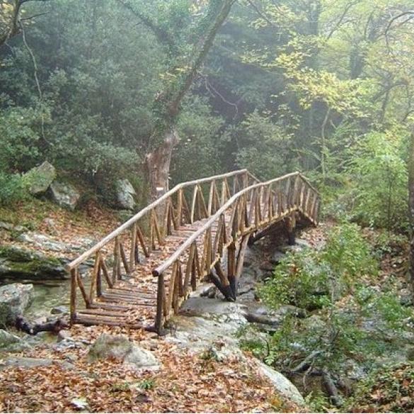 Πεζοπορία στο μονοπάτι της Μεσορόπης (Παγγαίο)