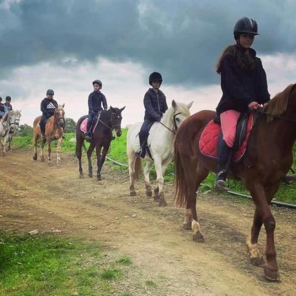 Sunset Horseback Riding - Wine event at the lush green Lythrodontas - 11 October