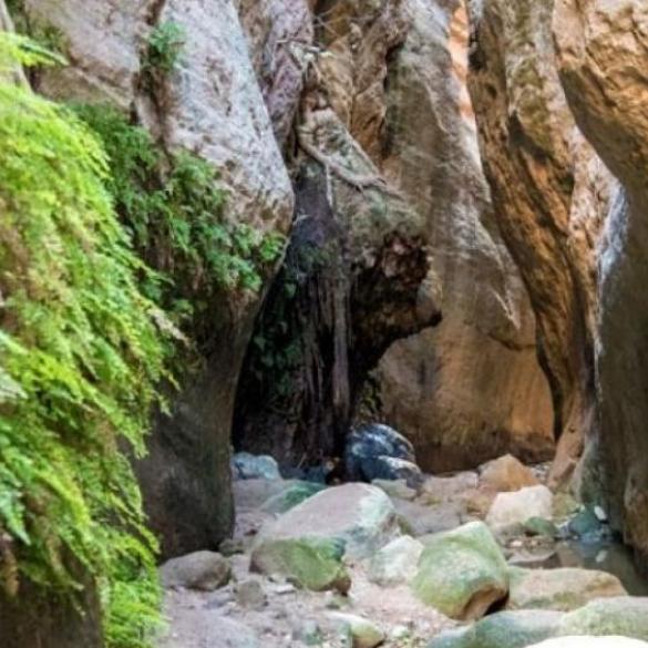 Πεζοπορία στο Φαράγγι του Άβακα Πεζοπορία στο Φαράγγι του Άβακα