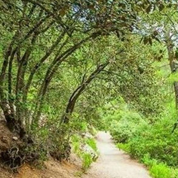 Πεζοπορία στο μονοπάτι Μούττη της χώρας - Σελλάδι του Καραμανλή  Πεζοπορία στο μονοπάτι Μούττη της χώρας - Σελλάδι του Καραμανλή