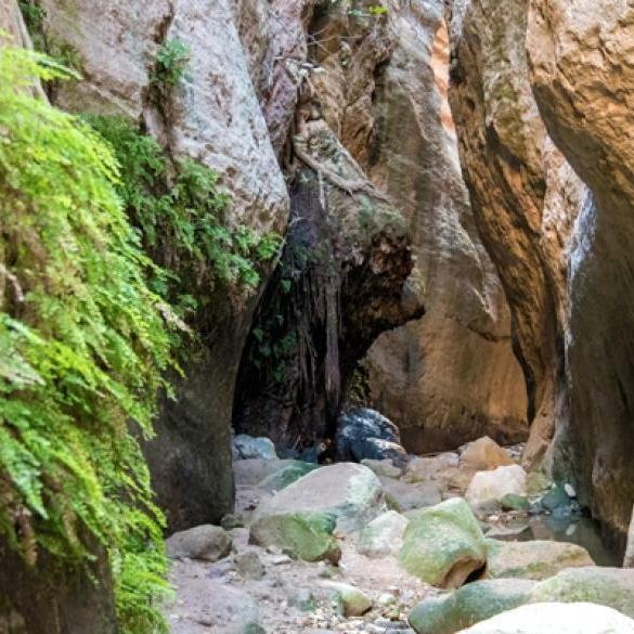 Excursion and hike in the Avaka Gorge - 23 Νοvember