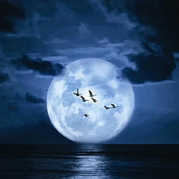 Full Moon Sea Kayaking στον Πρωταρά - 12 Αυγούστου