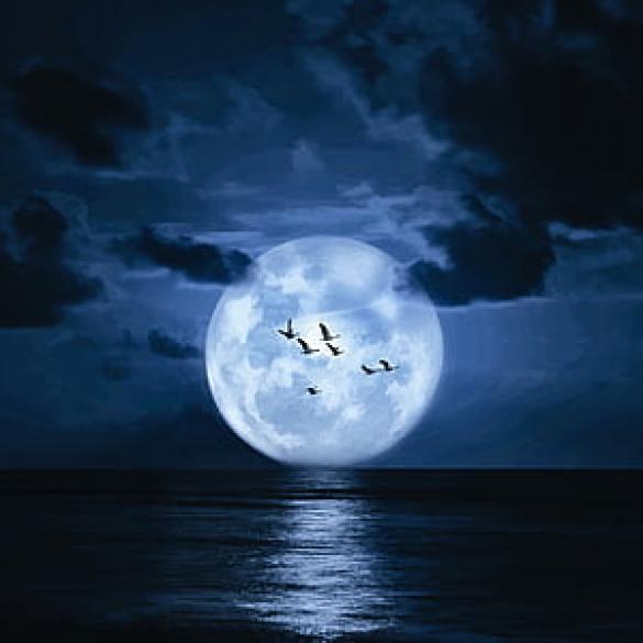 Full Moon Sea Kayaking στην Ακτή Κυβερνήτη -  17 Οκτωβρίου Full Moon Sea Kayaking στην Ακτή Κυβερνήτη -  17 Οκτωβρίου