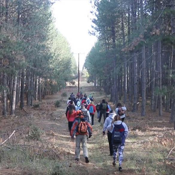 Hiking on the path of Metaxas