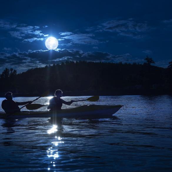 Sea Kayaking under the summer moon in Governor Coast - 10 July 