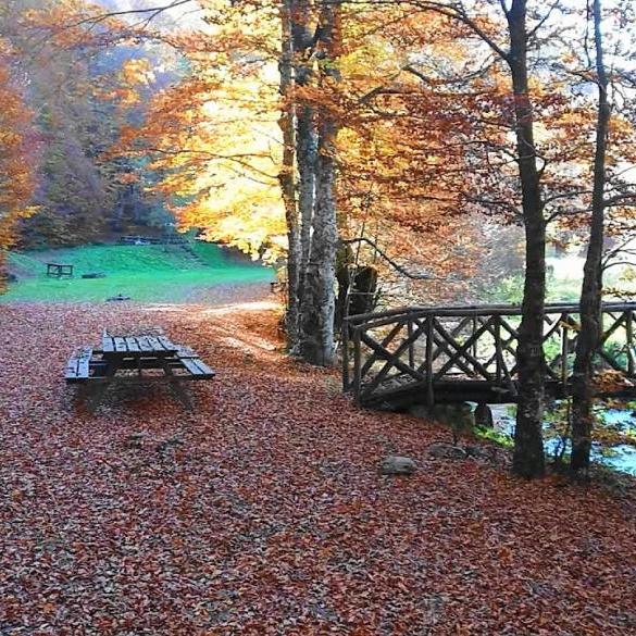 Hiking on the Path of the Muses - Stravopotamos in Paiko