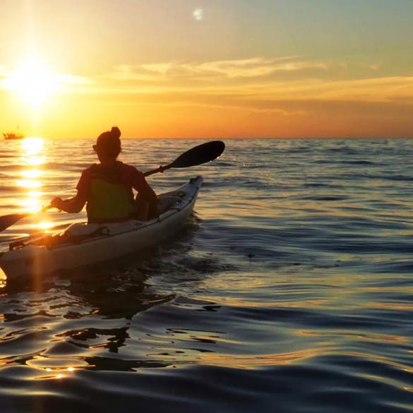 Sunset Sea Kayaking on the Governor Coast