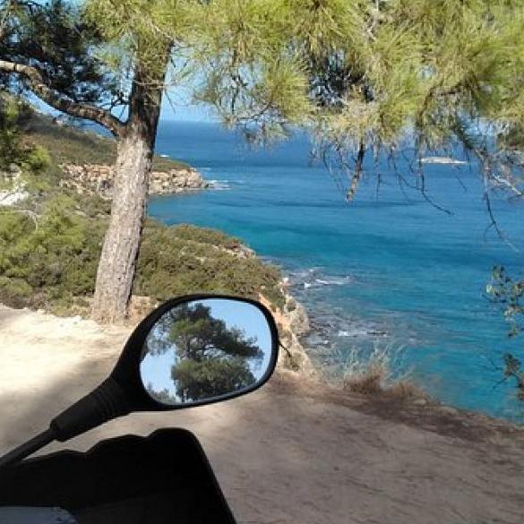 Σαφάρι με γουρούνες στον ολοπράσινο Ακάμα Σαφάρι με γουρούνες στον ολοπράσινο Ακάμα