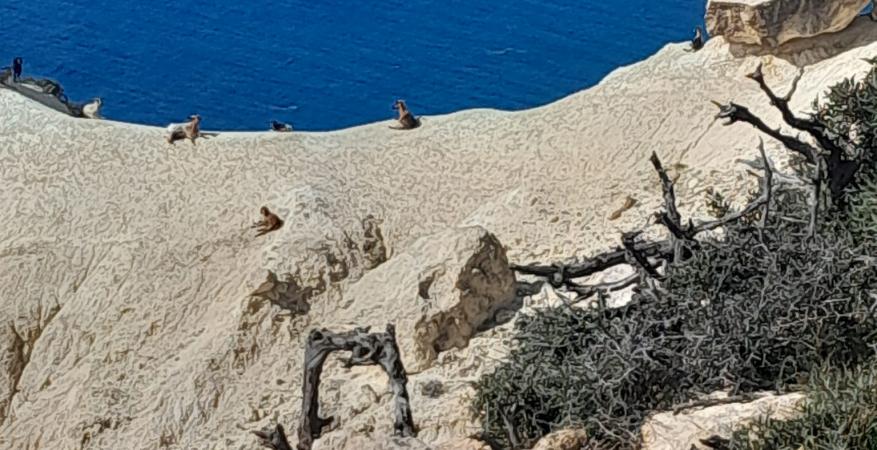 Hiking on the 