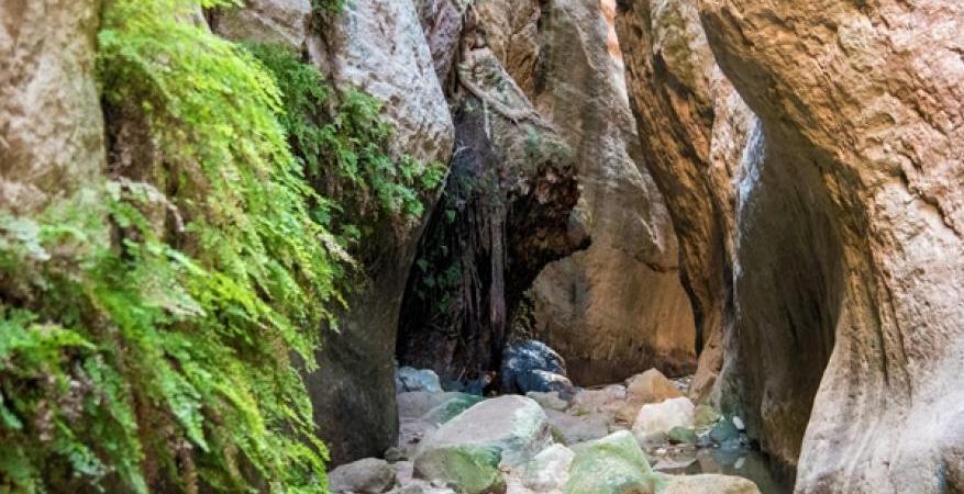 Excursion & Hiking at Avakas Gorge – May 17 | Outdoor Activities ...