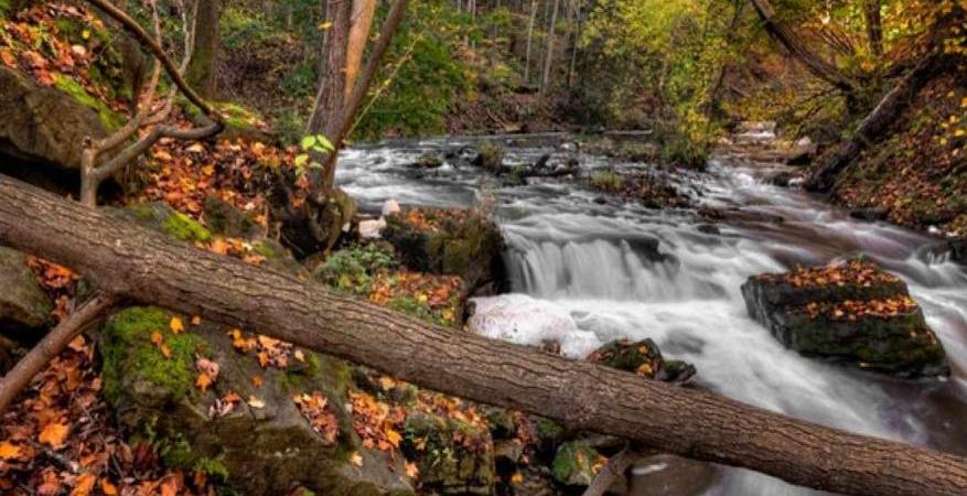 Hiking on the Caledonia nature trail | Outdoor Activities | Salonica View