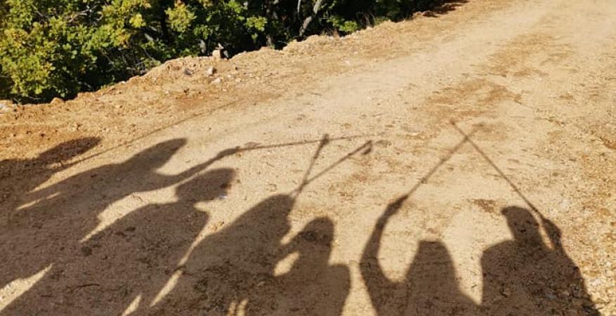 Τα οφέλη της πεζοπορίας στη φύση