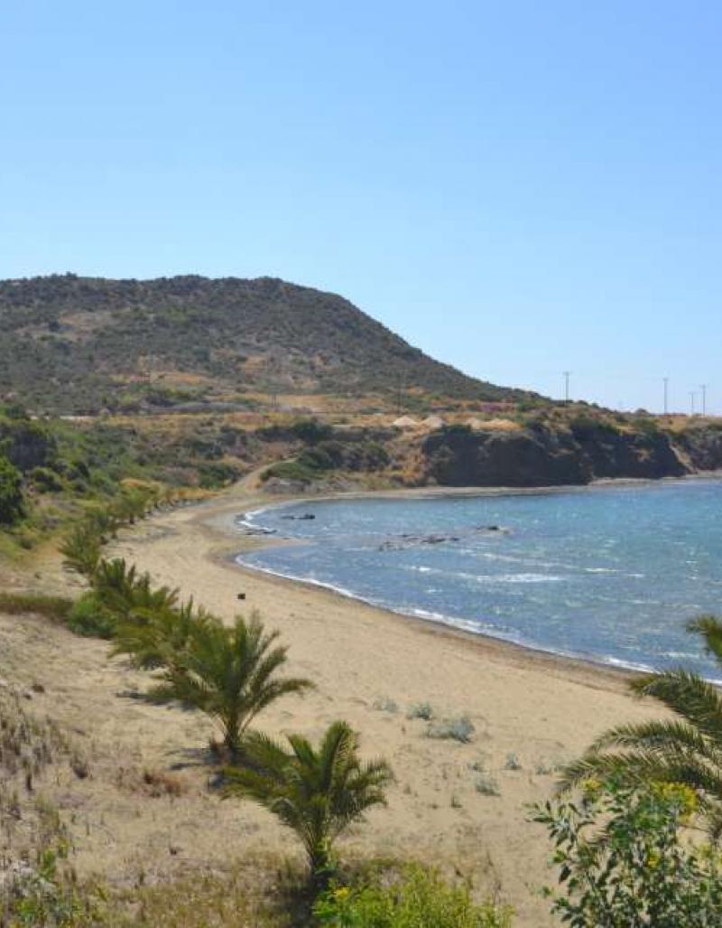 One-day excursion to Lower Pyrgos of Tillyria - Pachyammos - Pomos - 2 ...
